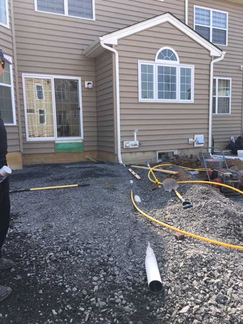 portfolio single project