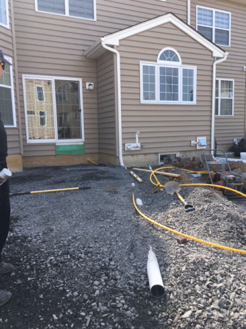 portfolio single project