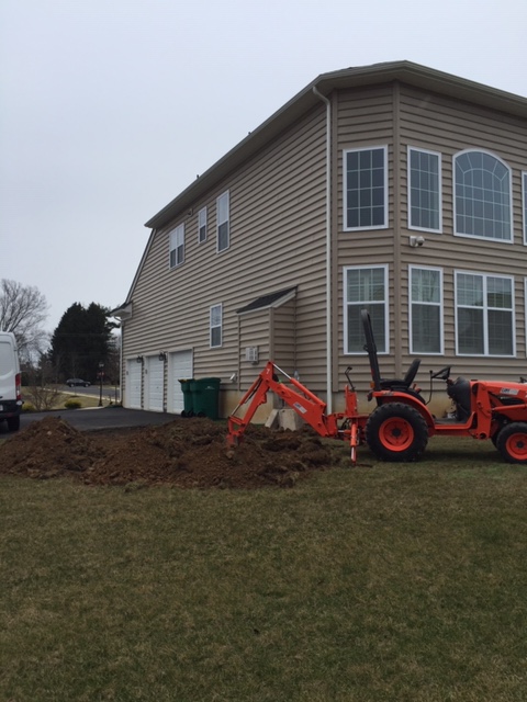 portfolio second image