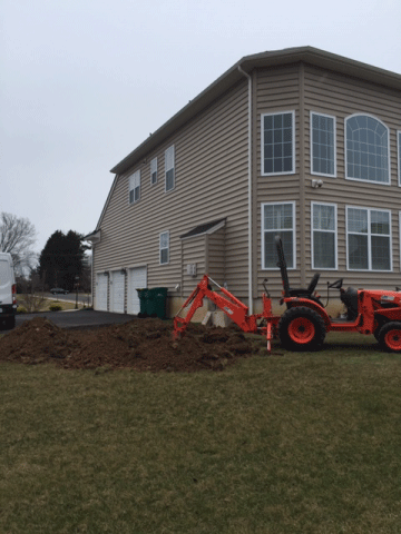 portfolio second image