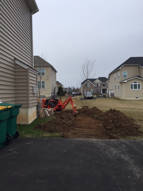 portfolio second image